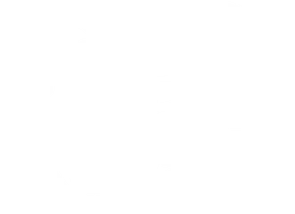Bataille Royale